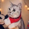 Ciaovie™ Costume de Noël pour Animaux de Compagnie - ciaovie