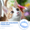 Jouets interactifs amusants pour chats