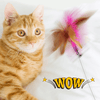 Jouets interactifs amusants pour chats