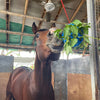 Boule de gâterie pour chevaux