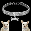 Collier De Chien En Cristal Mignon