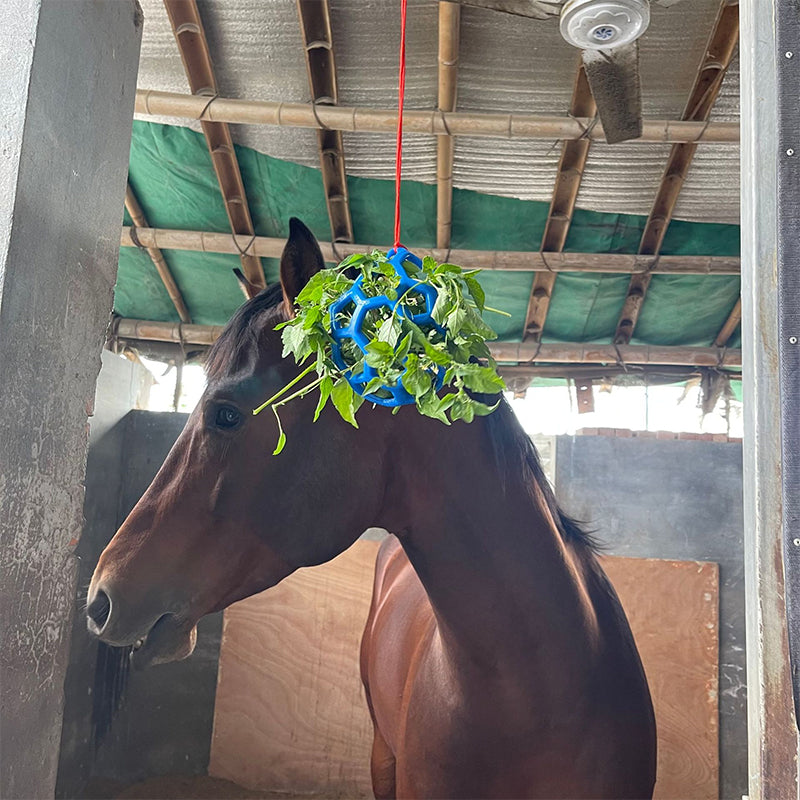 Boule de gâterie pour chevaux