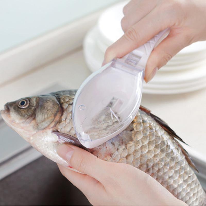 Éplucheur d'écailles de grattage de peau de poisson