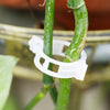 Clips de support pour plantes