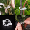 Clips de support pour plantes