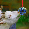 Boule de gâterie pour chevaux