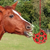 Boule de gâterie pour chevaux