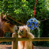 Boule de gâterie pour chevaux