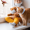 Jouets interactifs amusants pour chats