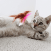 Jouets interactifs amusants pour chats