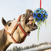 Boule de gâterie pour chevaux